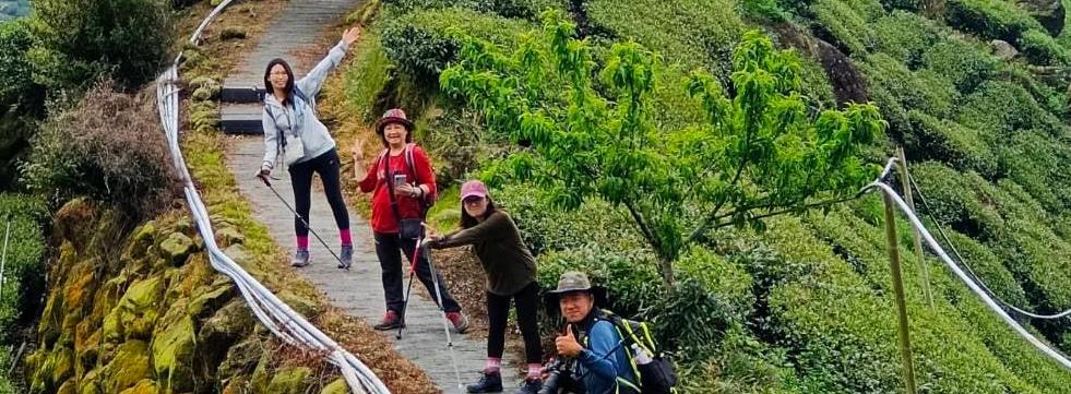 嘉義 瑞太古道