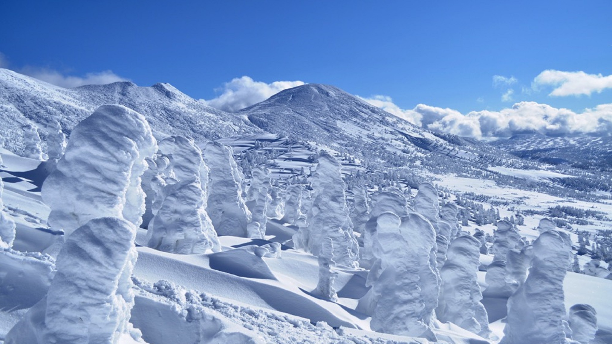 日本-山形滑雪5日遊，滑雪賞樹冰