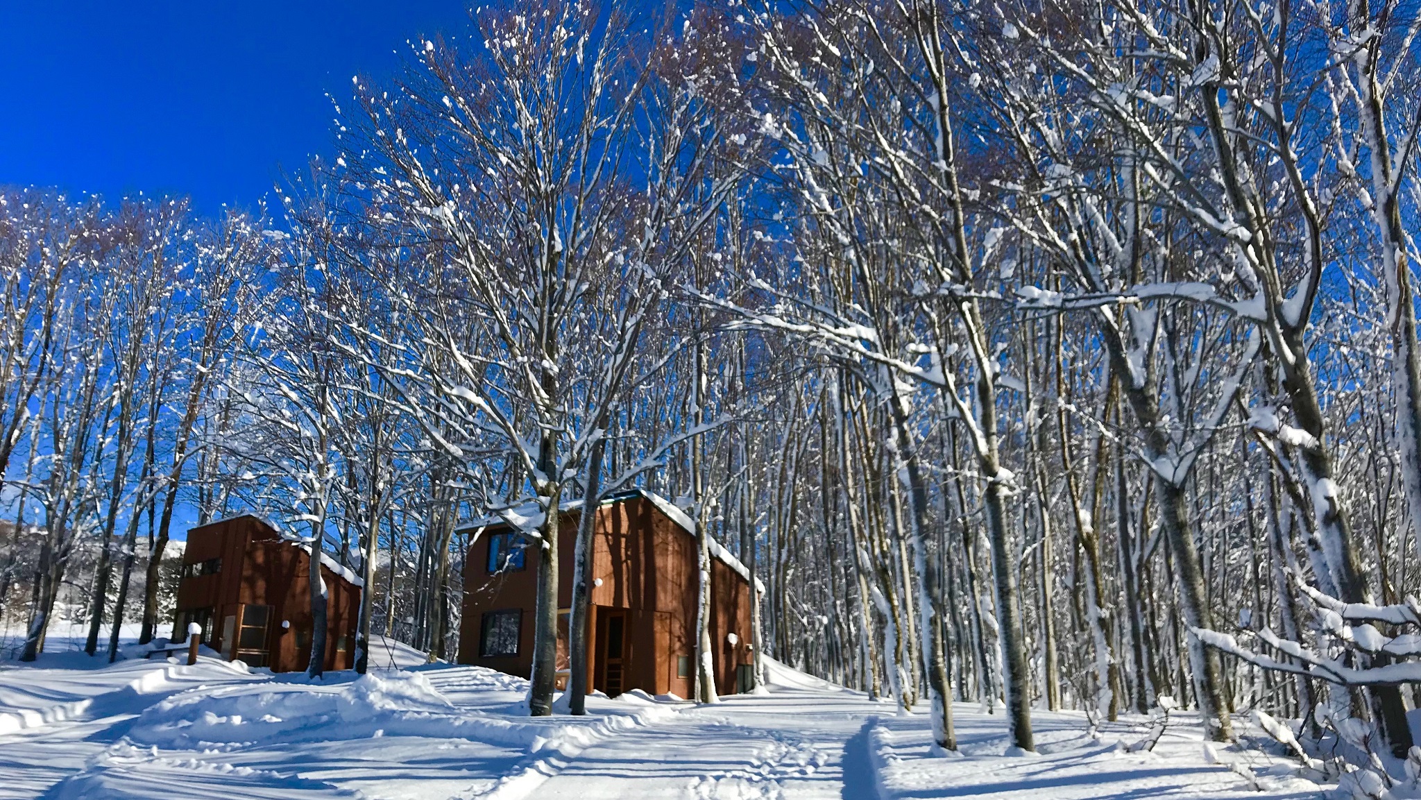 Day3｜湯殿山雪場滑雪課程