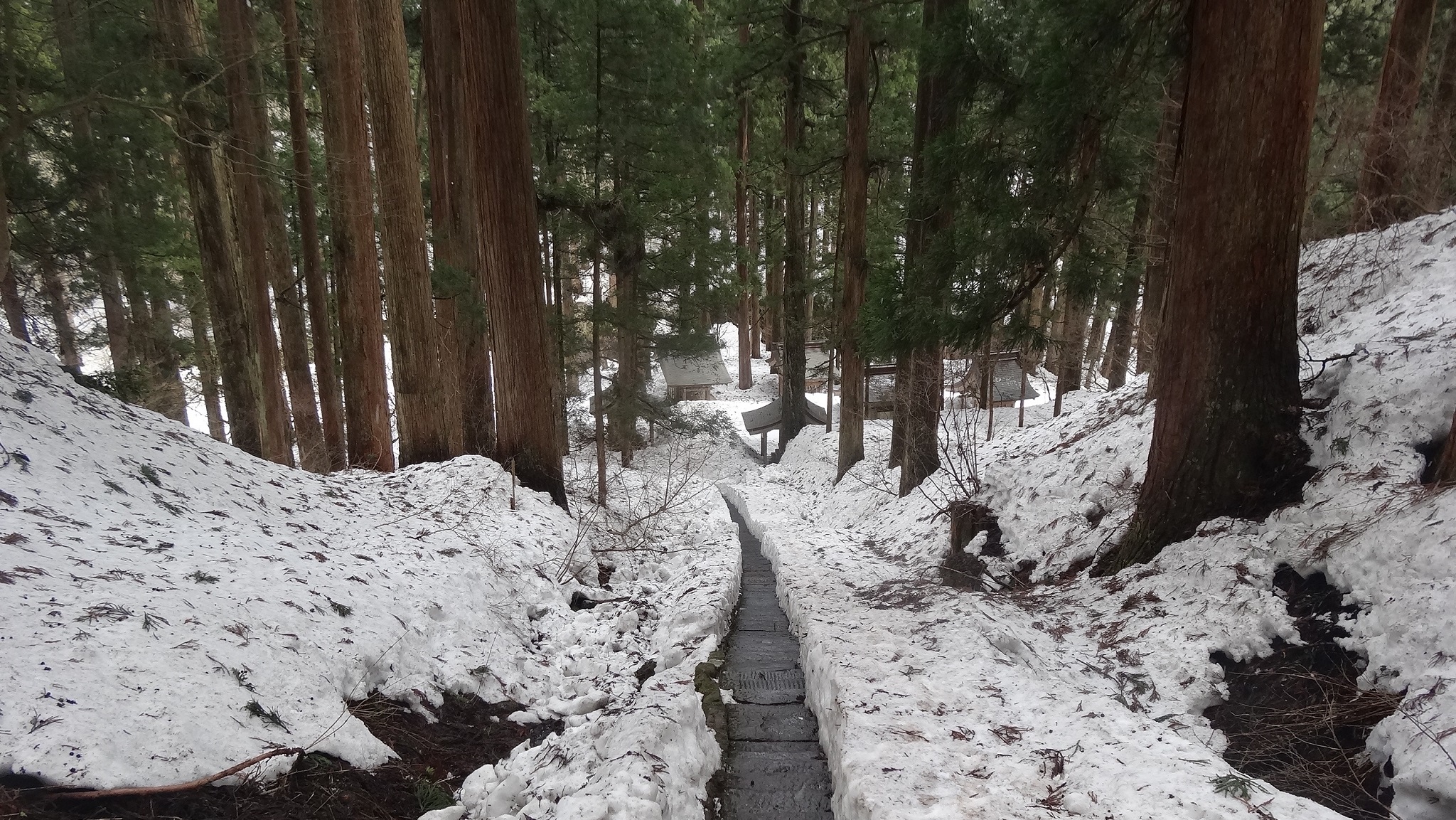 D3-山形雪遊．日本在地文化體驗