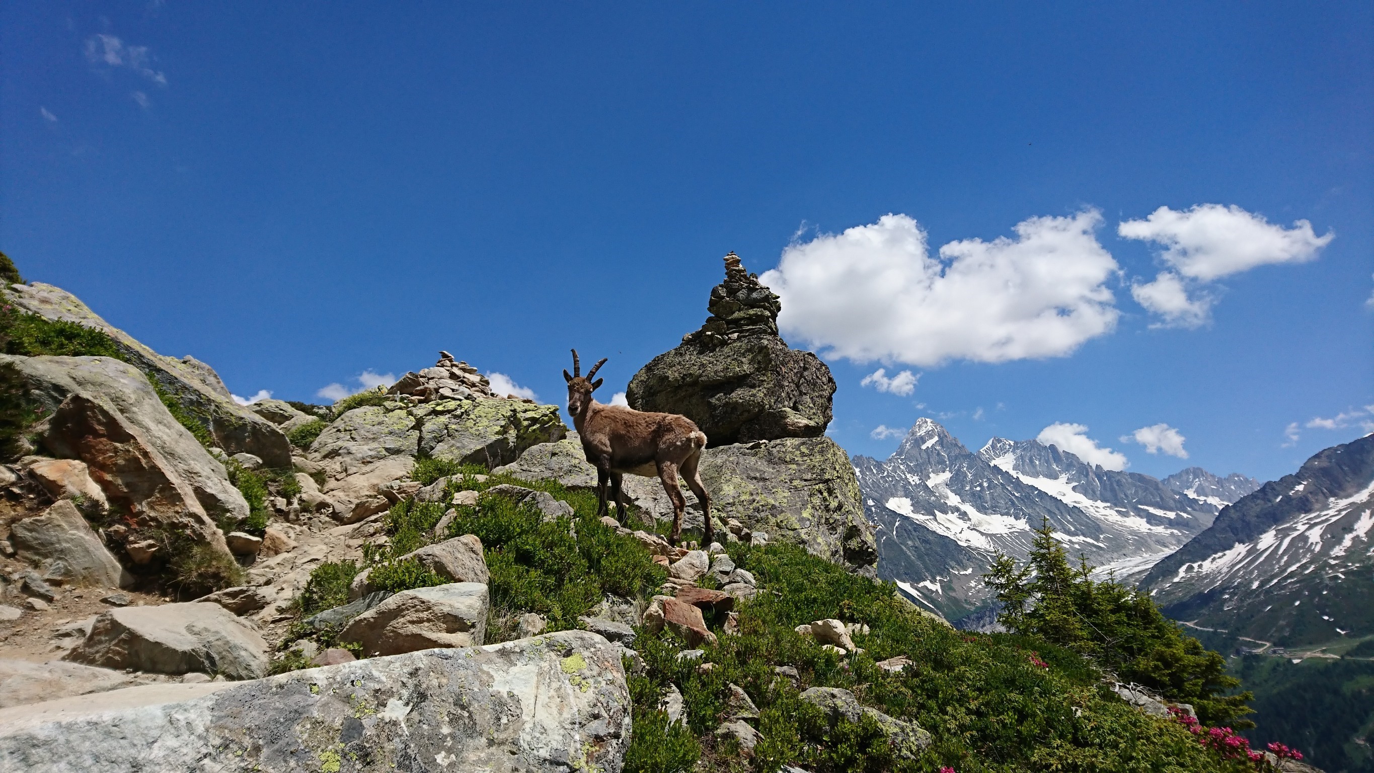 Day02 南針峰頂-山中旅館
