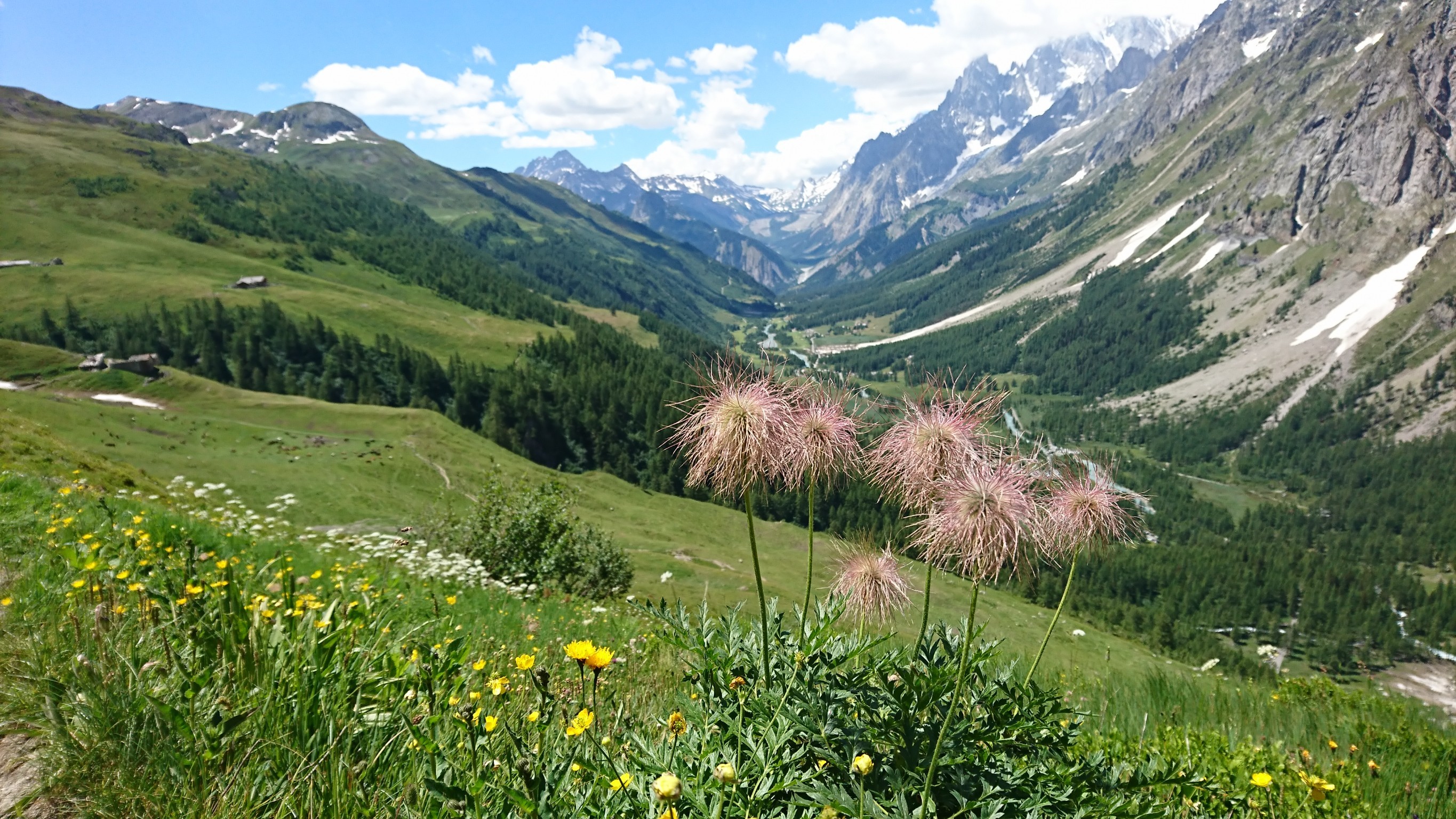 Day11 Refuge la Flegere/Le Brevent