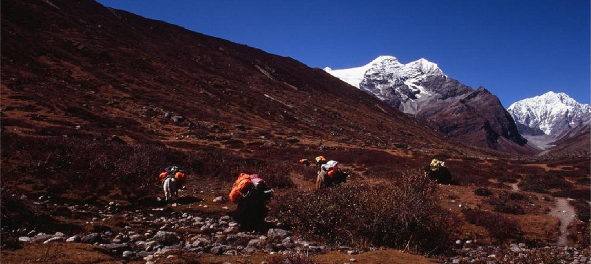 D10：4910營地觀景台(H5133m) 希夏邦馬南坡大本營(H5280) 6KM; 3~4 HR，海拔上升400米
