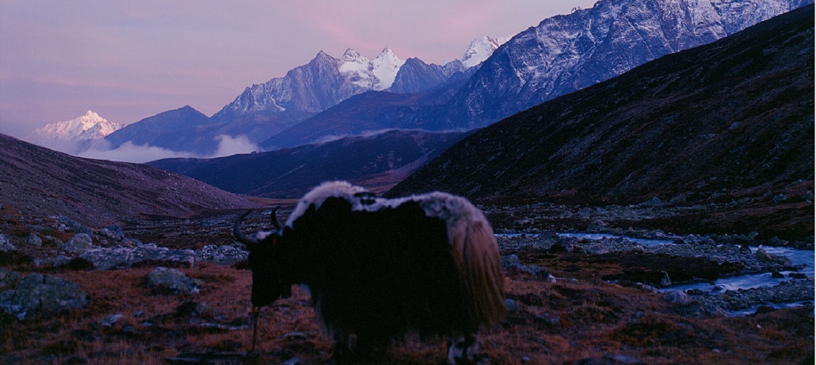 D13：共錯營地扛西錯俄熱（4450）日喀則（H3800） 14KM,4~5個小時，海拔上升100米下降850米
