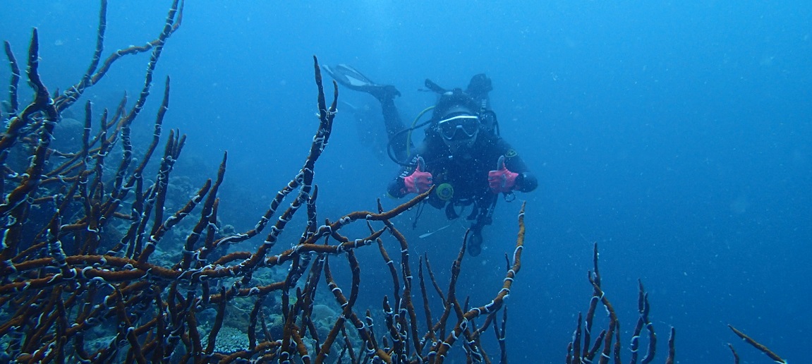 D2 海底探索(船潛3支)