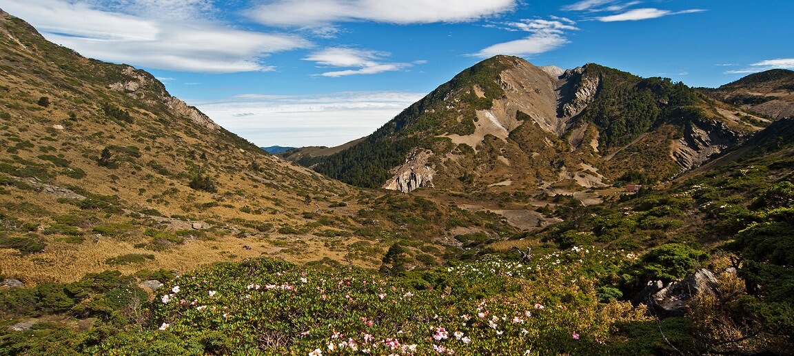 南湖大山健行-5天慢活賞花團)