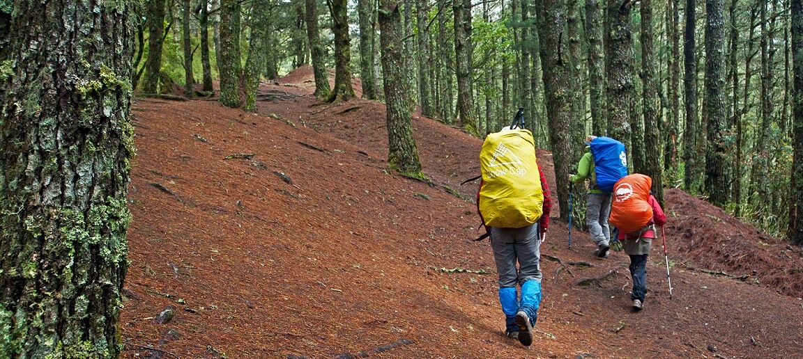 D1 準備妥當，前往登山口