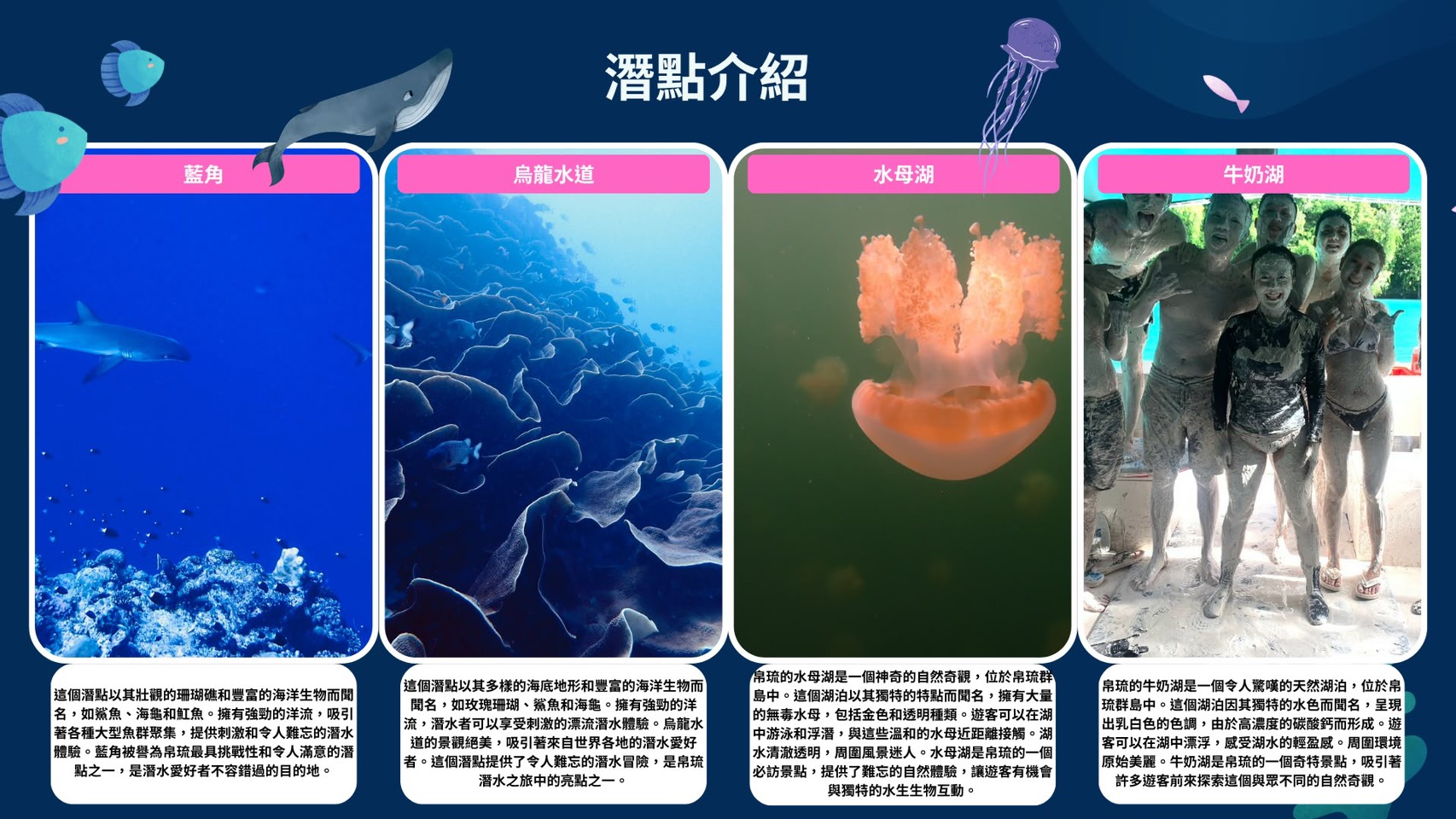 帛琉 潛水五日之旅