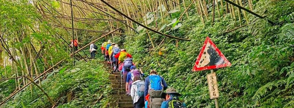 嘉義 瑞太古道