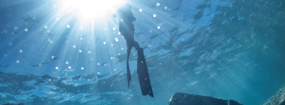 台北自由潛水課程 PADI Freediver