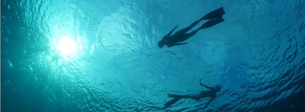台中自由潛水課程 PADI Freediver