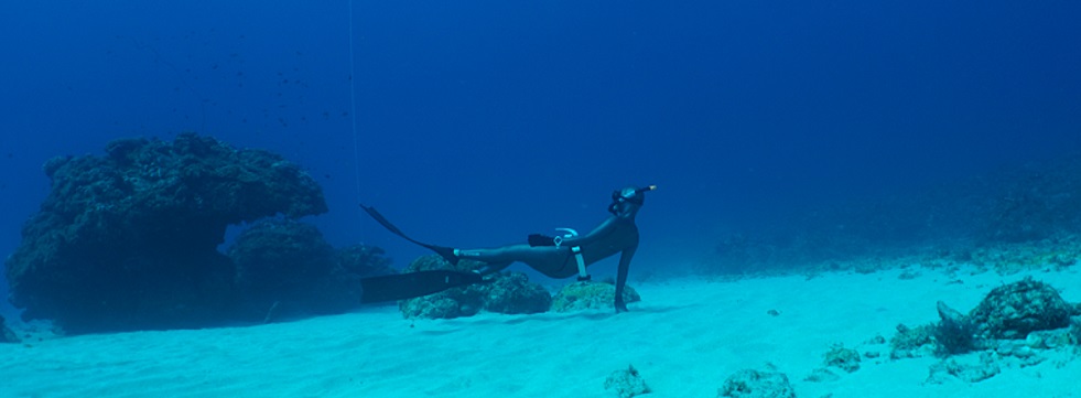 小琉球自由潛水證照 PADI Freediver