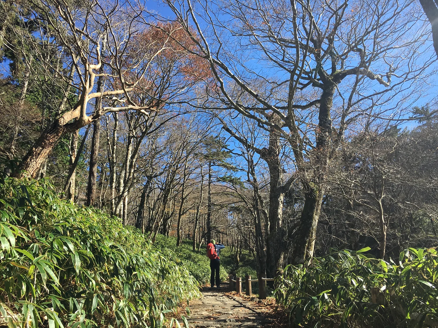 DAY4 大杉谷下山